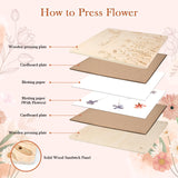 GOLDGE Extra Large 11”x11” Flower Press - 10-Layer Wooden Press for DIY Flower Preservation with Storage Bag, Adult Craft Kit GOLDGE