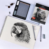 Brusarth Professional Sketch Pencils for Drawing Set - Graphite Pencils (4H-10B), Graphite Sticks, Erasers and Sharpener, Art Pencils for Sketching- Ideal for Artists and Beginners,17Pcs Brusarth