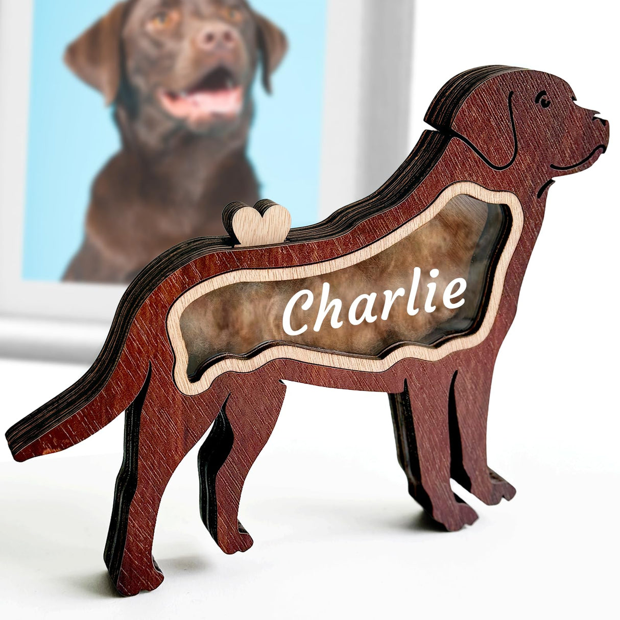 ubjva Custom Pet Fur Keepsake Box Personalized Wooden Dog Hair Memorial Shadow Box with Name Pet Loss Sympathy Gift for Dog Lover ubjva