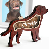 ubjva Custom Pet Fur Keepsake Box Personalized Wooden Dog Hair Memorial Shadow Box with Name Pet Loss Sympathy Gift for Dog Lover ubjva