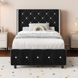 Twin Bed Frames, Upholstered Platform Bed Twin Size with Diamond Tufted Headboard, Modern Velvet Bed Frame with Wingback Design, No Box Spring Needed, Easy Assembly, Black HOMBCK