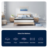 Avenco Queen Mattress, 14 Inch Medium Firm Queen Size Mattress in a Box, Hybrid Mattresses with Smarts™ Coil Pocket Springs for Motion Isolation, Strong Edge Support, CertiPUR-US Certified Avenco