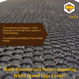 Hoover Hives - Deep Frames & Foundations (40 Pack) - Langstroth Beehive Wooden Frames, Black Food Grade Plastic Foundations Dipped in Natural Beeswax Hoover Hives