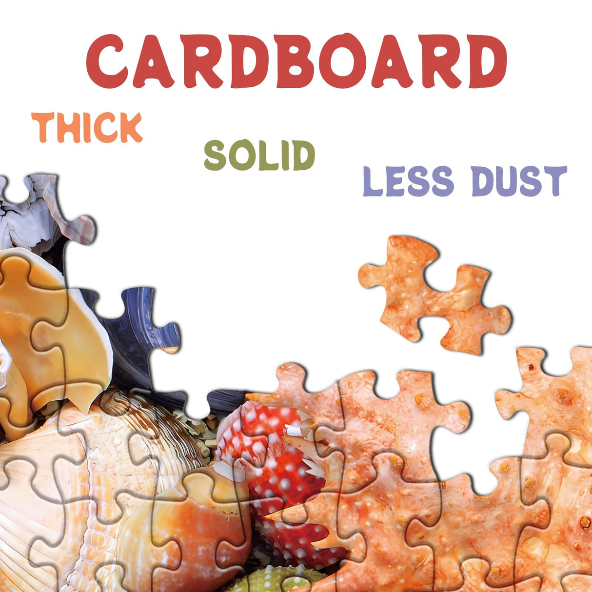 Colorful Seashell Puzzle for Adult 1000 Piece, Ocean Beach Puzzle 1000 Pieces for Adult, Marine Jigsaw Puzzles Hawaii 1000 Piece for Adult BBOLDIN