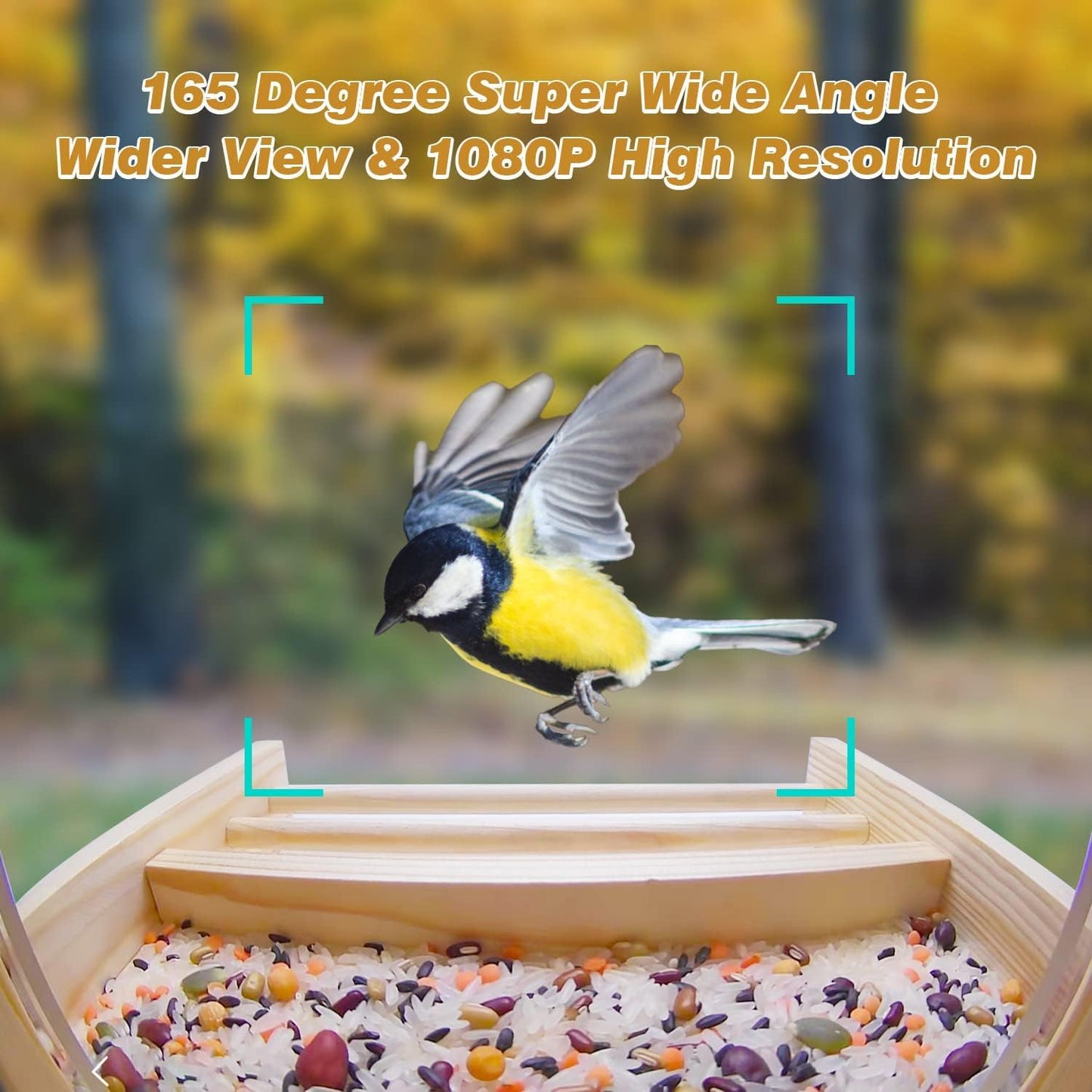 Smart Bird Feeder with Camera, Bird Feeders with 1080P HD Camera Wireless Outdoor, AI Identify Bird and 160°Wide Angle, Auto Capture Bird Video & APP