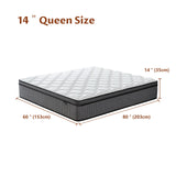 14 Inch Queen Mattress in a Box, Hybrid Cooling Gel Memory Foam & Pocketed Coils, Medium Firm, CertiPUR-US Certified, Pressure Relief, Motion Isolation Zentilla