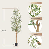 Bellacat Faux Olive Tree 6ft，Olive Trees Artificial Indoor with Natural Wood Trunk and Realistic Leaves and Fruits. 6 Feet(72in) Fake Olive Tree for Home House Office Décor. bellacat
