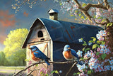 RMSGOZO 5D Farmhouse Flower Birds Diamond Painting Kits - Spring Animal Diamond Painting, Full Round Diamond Art Kits for Adults, for Wall Decor & Farm Decor Gifts (8 X 12 Inch) RMSGOZO