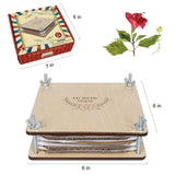 GOTHINK Flower Press Kit - 6 Layers 6 x 6 Inches, Easy to Use, DIY Dried and Preserved Flowers and Leaves, Plants Art & Crafts Wooden Flower Pressing Kit for Adults and Kids GOTHINK