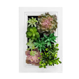 Nattol 3D Artificial Succulent Wall Art, Wood Frame with Realistic Faux Plant, Wall Hanging Botanical Decoration, Home Decor Idea for Vertical Garden and Fake Plants, White Nattol