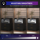 dnbss Black Nightstand Set of 2 with Charging Station, LED Night Stands with 24-Color RGB Lights, Smart Lighted Bedside Table with 2 Drawers, Modern Nightstand for Bedroom dnbss
