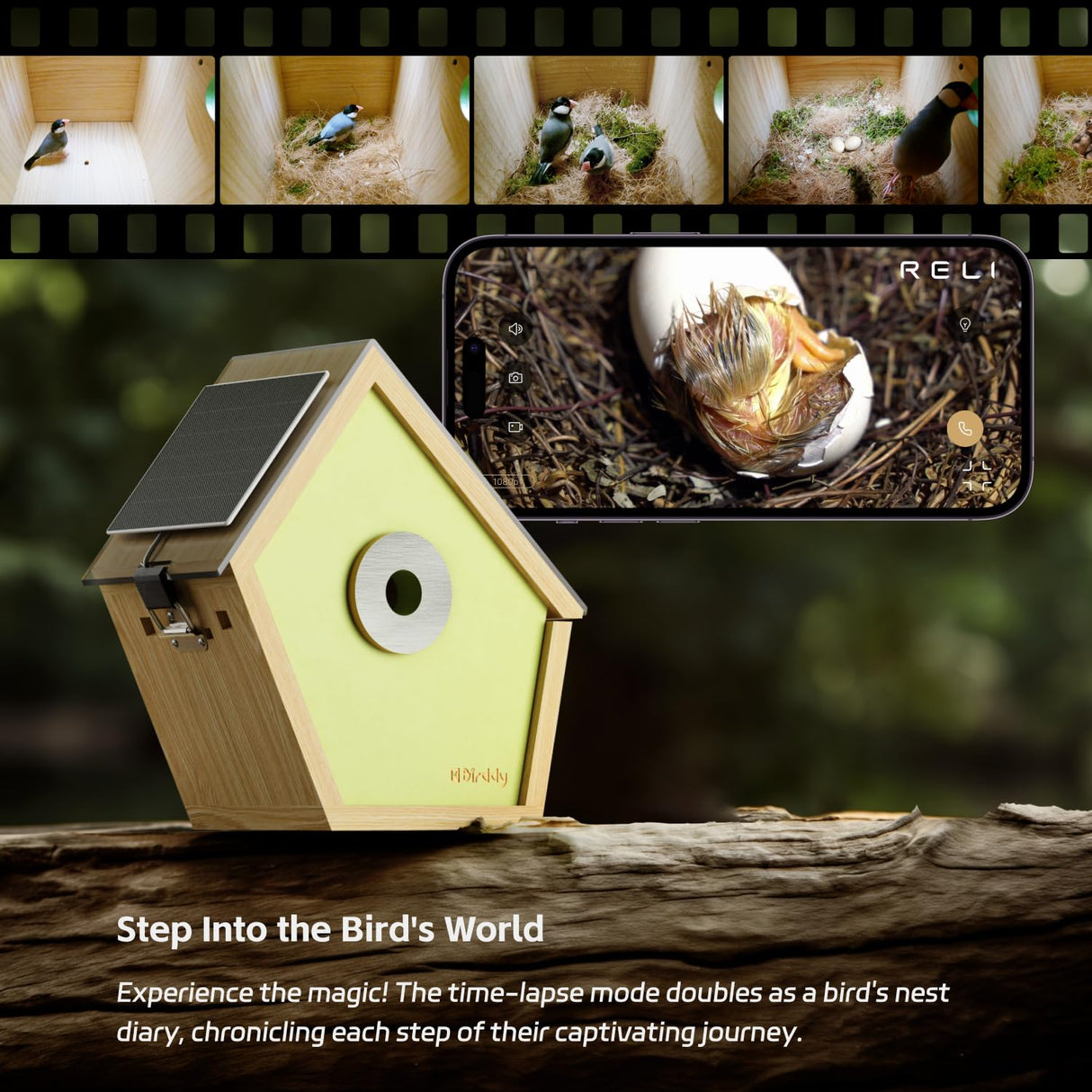 RELI Birddy® Original Smart Birdhouse with Camera, Solar Powered Cam Bird Nest with AI Recognition, Time-lapse Photography, WiFi Outdoor Nesting Box for Birds, Ideal Gift for Bird Lover Watching Birds RELI
