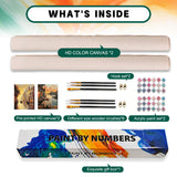 2 Pack Paint by Numbers Kit for Adults Beginner, Sunset Venice Adult Paint by Number Kits on Canvas, DIY Landscape Acrylic Number Painting for Adults for Home Wall Decor Gift 16x20 Inch Possoco