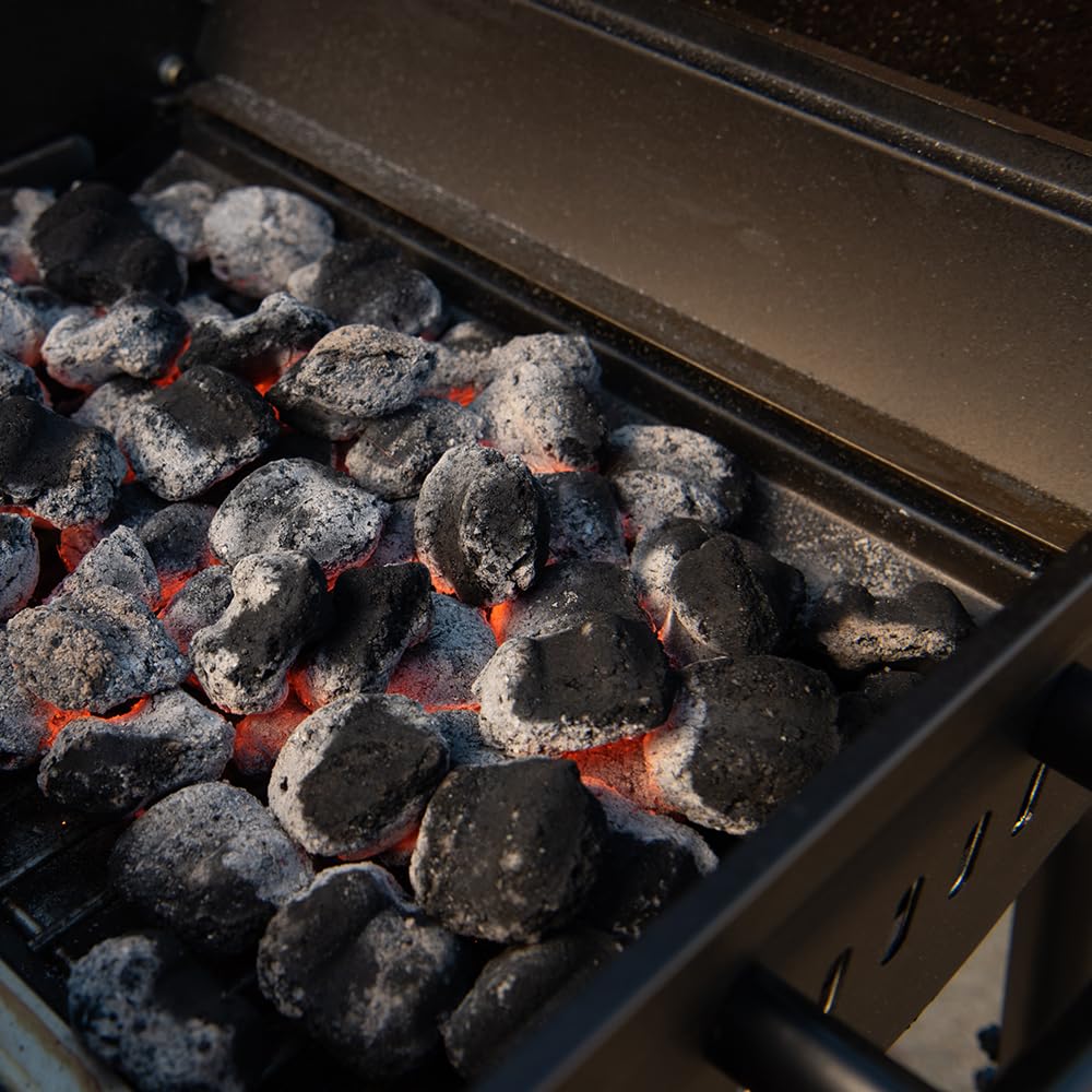 Nexgrill 17.5" Charcoal Barrel Grill with Side Shelf, Perfect for Outdoor Cooking & Grilling, BBQs, Camping, Patio, Garden, Backyard, Tailgating, Black, 810-0063 Nexgrill