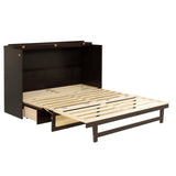 PVWIIK Queen Size Multi-Functional Bed Frame with Rattan Decoration Panel and Drawer for Girls/Boys,Home Office, Studio,Bedroom,Cabinet Murphy Bed w/Plank Support,No Box Spring Needed, Espresso PVWIIK