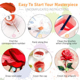 Offito Framed Paint by Numbers Kit for Adults Beginners & Kids Ages 8-12, Rose Flower Acrylic Easy Paint by Number with Frame, Paint by Number Kits on Canvas Framed (10 * 10 Inch, Without Easel) Offito
