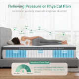 Novilla Twin Mattress for Kids, 10 Inch Twin Mattress Hybrid with Individually Pocket Innerspring, Pressure Relief & Motion Isolation, Medium Firm Feel Novilla