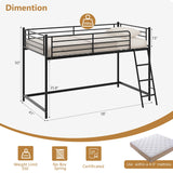 JOYMOR Low Loft Bed with Inclined Ladder, Metal Twin Size Bed Frame with 15” High Guardrail for Boys Girls, Junior, Space Saving, Mattress Not Included (Black) JOYMOR