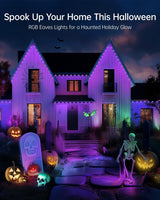 100FT Permanent Outdoor Lights -RGB Eaves Lights with App Control Remote,DIY Scene Modes IP67 Waterproof Outside LED Light for Christmas, Holiday, Daily, House Roof Eternity Lighting lemonrole