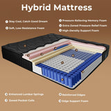 WinxMatrs Twin Mattress, 10 Inch Memory Foam Hybrid Mattress in a Box, Independent Spring for Motion Isolation and Pressure Relief, Comfortable Medium Firm Edge Support WinxMatrs