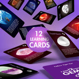 Gamerside Gemstone Dig Kit, Dig Up 12 Real Rocks and Minerals, Buy 2 Get 1 Gem Digging Kit, Toy Geology Archaeology Excavation Kits for Kids Age 6-12 Years, Educational Gift for Boys and Girls Gamerside