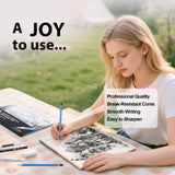 ROCOD Sketch Pencils for Kids and Adults Drawing, 26-Piece Profession Sketching Pencils, Drawing Pencil for Artists Beginner Sketching, Art Graphite Pencil 6B to 4H ROCOD