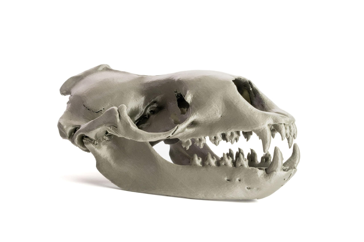 Original Prusa MK4S 3D Printer, Ready-to-use FDM 3D Printer, Assembled and Tested, Removable Print Sheets, 1kg Prusament PLA Spool Included, Print Size 9.84 x 8.3 x 8.6 in ORIGINAL PRUSA