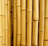 Backyard X-Scapes Natural Bamboo Fencing Decorative Rolled Fence Panel 0.75 in D x 3 ft H x 8 ft L Backyard X-Scapes
