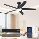 DSNAPE 52 Inch Black Ceiling fan with Lights, Ceiling Fan with Lights and Remote/APP Control, Reversible, Dimmable, 3CCT, Quite Ceiling fan for Living Room, Bedroom, Indoor Outdoor Use DSNAPE