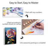 Kaliosy Framed Paint by Numbers Kits for Adults Basketball, Oil Painting Ball Pre Drawn Canvas Drawing Paintwork with Paintbrushes Acrylic Beginner Wall Home Decoration 8x12 inch Kaliosy