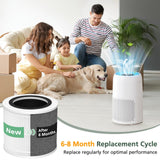 AP100-A/B Replacement Filter Compatible with AromaRoom AP100-A, AP100-B, AP100-C Air Purifi-ers, 3-IN-1 H13 True HEPA and Activated Carbon Filter for Smoke, Dust, Pet Dander (White) isinlive
