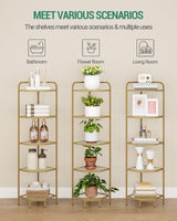 Hzuaneri Corner Shelf Stand, Glass Bookshelf Bookcase, Bathroom Organizer, Plant Stand, Steel Frame, Tempered Glass, Modern Style for Living Room, Bathroom, Kitchen, 5-Tier Golden CS90200G Hzuaneri
