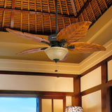 Honeywell Ceiling Fans Royal Palm, 52 Inch Tropical LED Ceiling Fan with Light, Pull Chain, Three Mounting Options, Hand Carved Solid Wood Blades - 50204-01 (Bronze) Honeywell Ceiling Fans