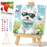 xcemhil Framed Paint by Numbers Kit for Kids and Adults, Dog Paint by Numbers for Adults, Cute Dog Kids Paint by Number Kits for Gifts and Home Decor 10x10in xcemhil
