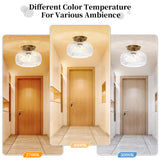 OYKYOHEI Semi Flush Mount Ceiling Light, Gold Vintage Kitchen Ceiling Light Fixture, Globe Glass Close to Crystal Modern Lighting for Hallway Bathroom Bedroom Porch Entryway, Bulb Not Included OYKYOHEI