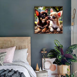 Animals Diamond Art Kits for Adults,Chihuahuas Dog 5D Diamond Painting kit for Beginner,DIY Full Round Drill Diamond Gem Art Crafts for and Home Wall Decoration 13.8 x 13.8 inch GEMFAMILY