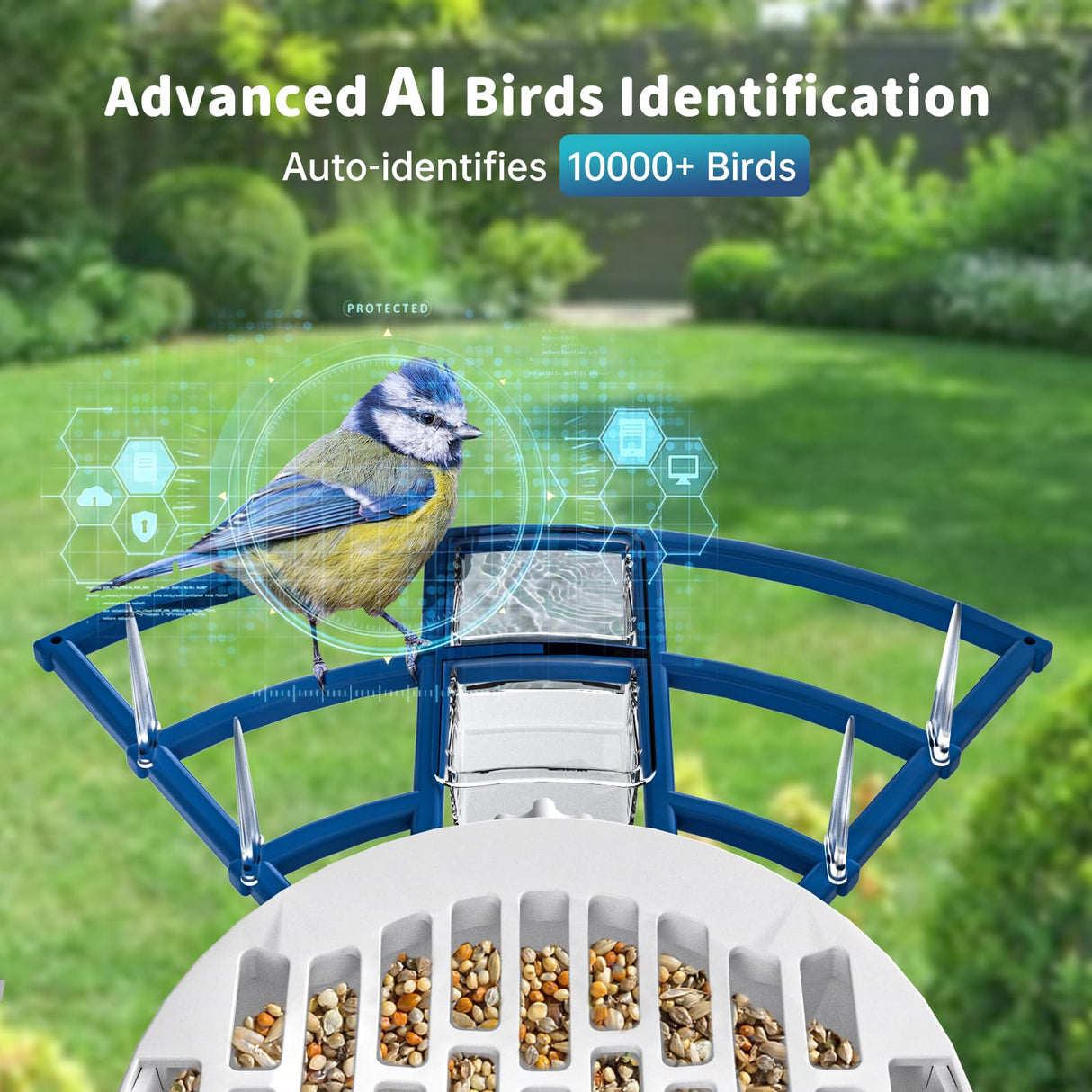 Smart Bird Feeder with Camera Solar Powered & AI Bird Identification, 2.4Ghz WiFi Camera Bird Feeder, 2K Hd Live Video Bird Feeder Camera, Nstant Arrival Alerts - Best Gifts for Bird Lovers NAVFS