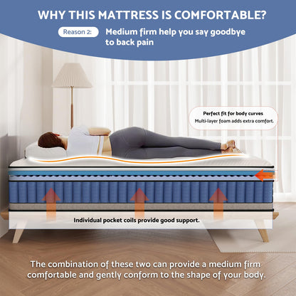 Bednew Full Size Mattress, 14 Inch Hybrid Pillow Top Full Mattresses in a Box with Gel Memory Foam & Individually Pocket Coils, Medium Firm Mattress for Back Pain, Pressure Relief