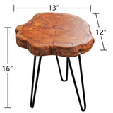 WELLAND Unique Shape Natural Wood Stump Rustic Surface End Table WELLAND