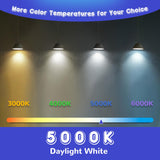 MAXvolador G25 LED Globe Light Bulb 60W Equivalent, Daylight White 5000K E26 Vanity Light Bulbs for Bathroom Makeup Mirror, Round Bulb Non-Dimmable 8-Pack MAXvolador