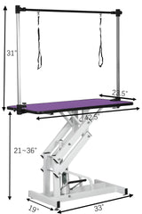 TRODEP 42.5" Hydraulic Dog Grooming Table for Large Dogs Heavy Duty Height Adjustable Dog Grooming Table with Gantry Arm & Noose Height Range 21-36 inch Purple TRODEP