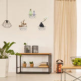 Trailwalk Acrylic Small Shelf,Mini Floating Wall Shelf,Wall Mounted Storage Shelf,for Pop Figures,Plant,Picture Photo Modern Wall for Office Bedroom Living Room,Clear (3 Pack) Trailwalk