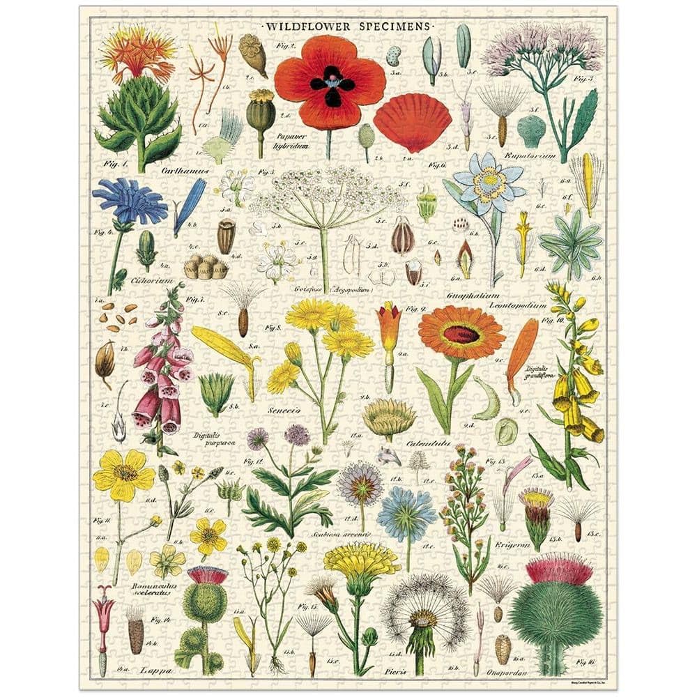 Cavallini Papers & Co. Wildflowers 1,000 Piece Puzzle, Multi Cavallini