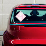 10Pcs Sublimation Blanks Metal Sign, Removable Sublimation Magnet Blanks Metal Sublimation Blanks Bulk with Suction Cup, Sublimation Ornament Blanks for Heat Transfer Home Window Wall Decoration HINGTAI