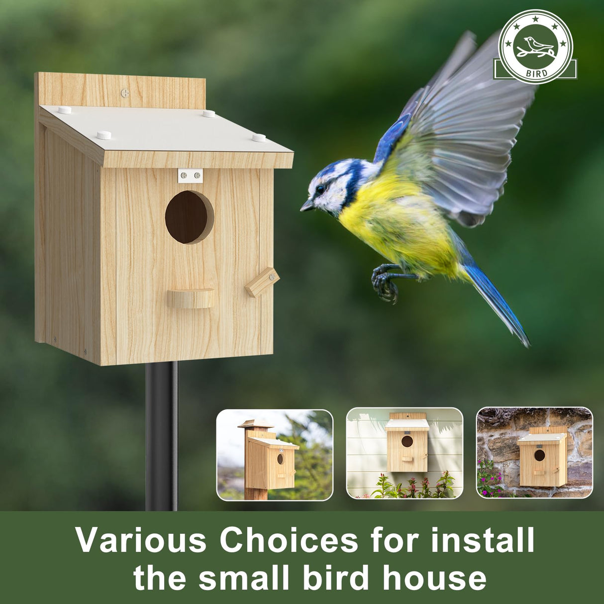 Bird Houses for Outside, Bluebird House with Standing Perch, Hanging Wood Bird House with Waterproof Acrylic Plate for Small Birds Bluebird Finch Swallow Wren Chickadee Assembly Required Chuiendi