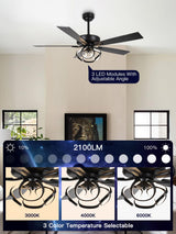 ACEROCK 52 Inch Ceiling Fan with Light, Galaxy-Inspired Design, Reversible Blades, 2100 Lumens LED, Premium 304 Stainless Steel Body, Ultra-Quiet DC Motor, High Airflow (Black) ACEROCK