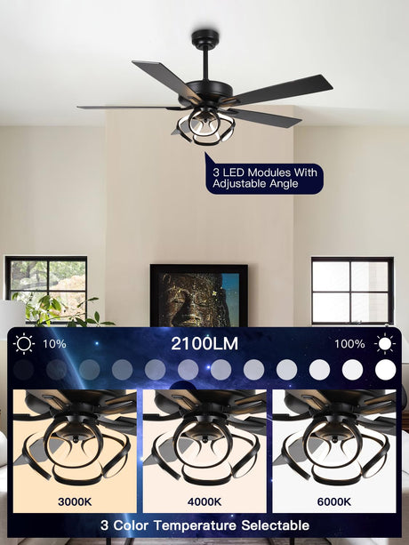 ACEROCK 52 Inch Ceiling Fan with Light, Galaxy-Inspired Design, Reversible Blades, 2100 Lumens LED, Premium 304 Stainless Steel Body, Ultra-Quiet DC Motor, High Airflow (Black) ACEROCK
