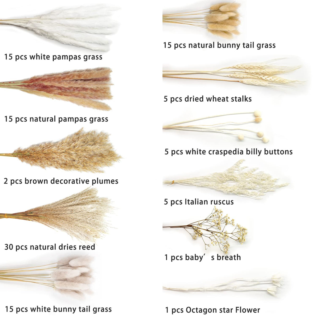 Total 104 pcs /11 Various Dried Pampas Grass Décor, White Pompous Grass, Bunny Tails Dried Flowers Reed Grass, 17 inch Pompass Grass for Flower Arrangements Boho Wedding Home Décor (Ivory White) Glamativity
