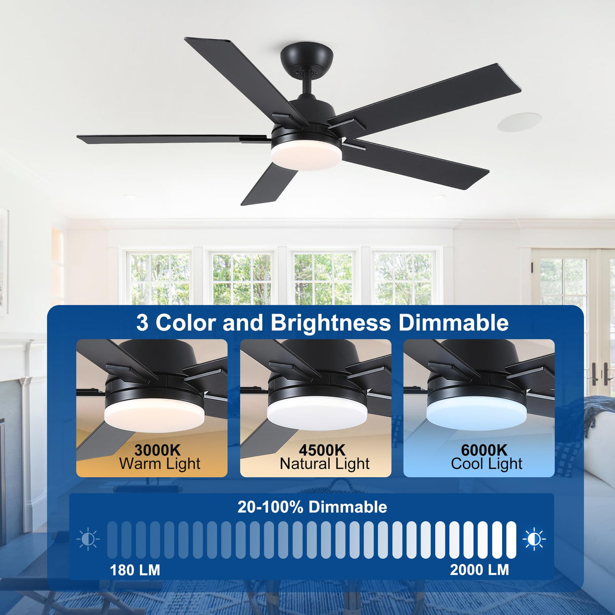 52 Inch Ceiling Fans with Lights and Remote, Black Ceiling Fan with 5 Blades, 6 Speed Reversible DC Motor, 3CCT Dimmable LED, Modern Design for Bedroom, Living room & Covered Outdoor,Includes Downrod Rayqueen