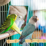 LOGOFUN Parrot Wooden Chewing Toys Bamboo Standing Stick Bird Perch Stick Toy (30cm) LOGOFUN